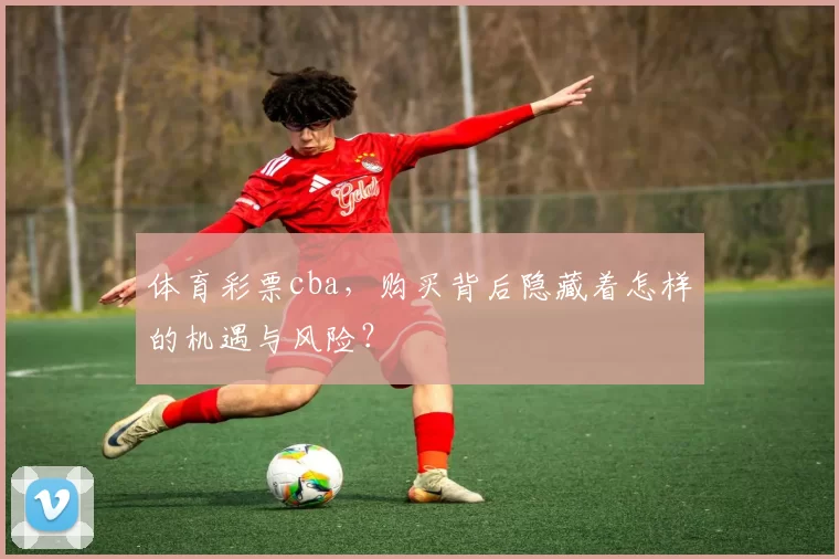 体育彩票cba,购买背后隐藏着怎样的机遇与风险?