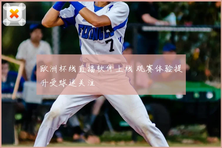 欧洲杯线直播软件上线 观赛体验提升受球迷关注