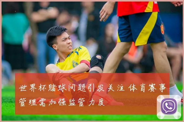 世界杯赌球问题引发关注 体育赛事管理需加强监管力度