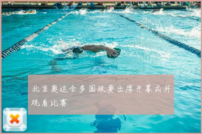 北京奥运会多国政要出席开幕式并观看比赛